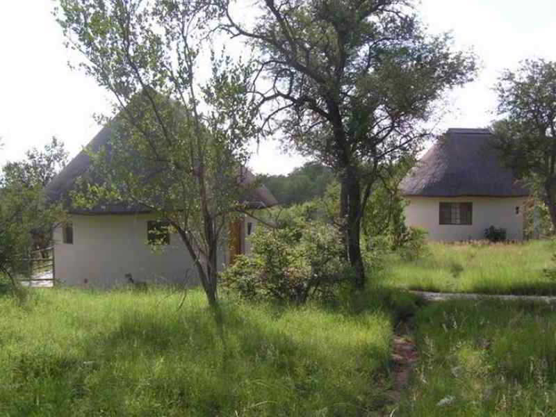 Mbizi Bush Lodge Phalaborwa Bagian luar foto
